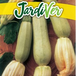 CALABACÍN GENOVÉS