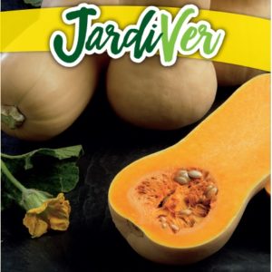 CALABAZA CACAHUETE
