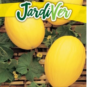 MELÓN AMARILLO