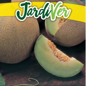 MELÓN GALIA F1