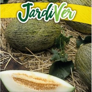 MELÓN PIEL DE SAPO
