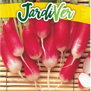 RÁBANO MEDIO LARGO ROSADO PUNTA BLANCA