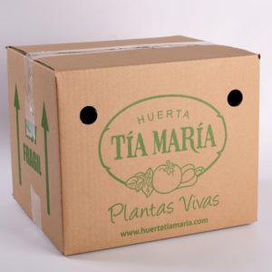 Box Antimosquitos