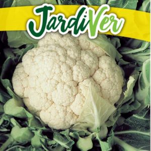 COLIFLOR