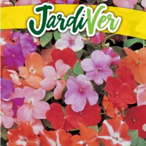 IMPATIENS