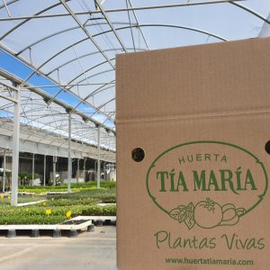 NUESTROS BOX