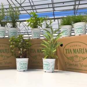 Box Medicinal