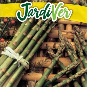 ESPÁRRAGO VERDE
